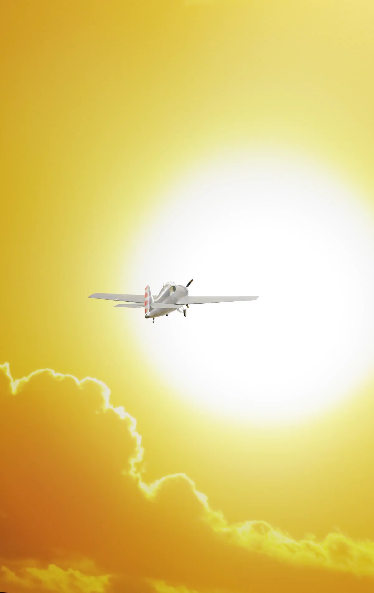 Fallback Image